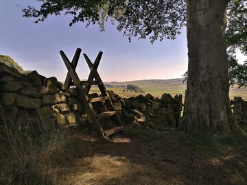 Hadrian's Wall stile