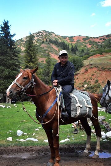 Horse master