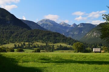 Bohinj view