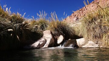 Termas de puritana