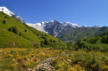 Mountain view