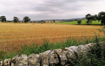 Hadrian's Wall field view