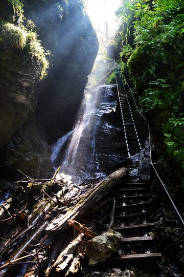 Gorge ladder