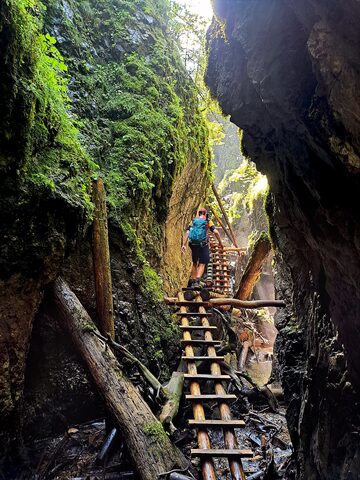Gorge walk wooden ladder