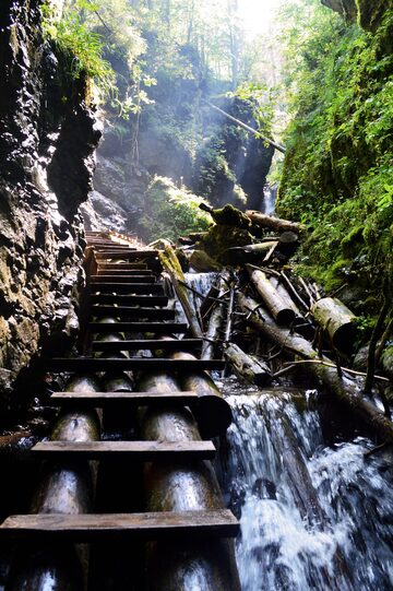 Gorge wooden ladder