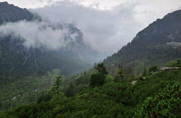 Green mountains