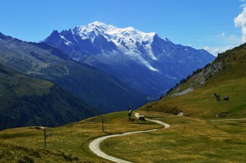 Swiss track