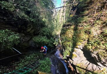 Ladder climb on the gorge walk