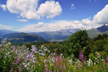 Georgian meadow