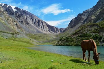 Horse and Jukku Lake