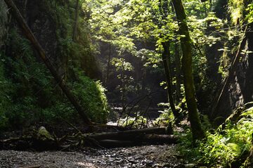 Suchá Belá gorge walk