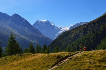 Swiss hikers