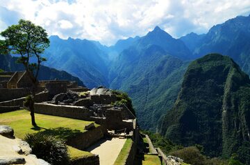Machu Picchu gardens